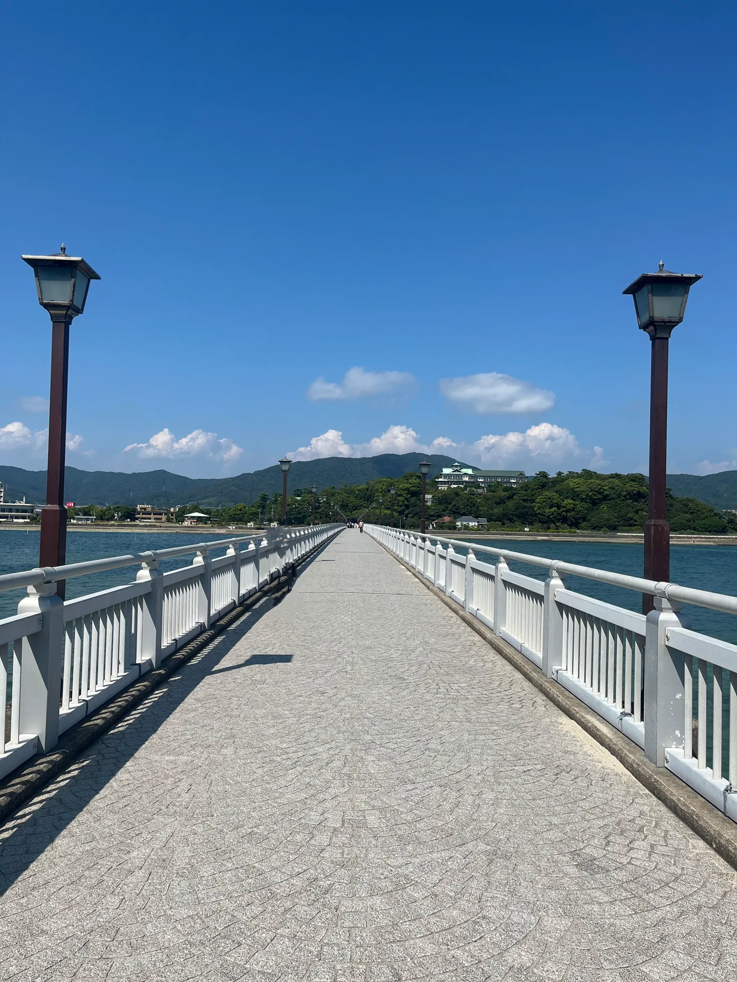 海の上の橋を歩いて渡る