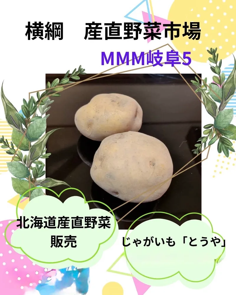 横綱